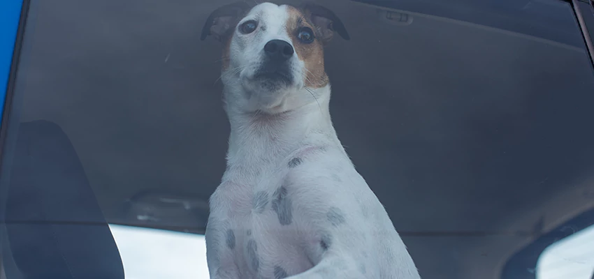 Car Lockout Solutions in Bloomington, California